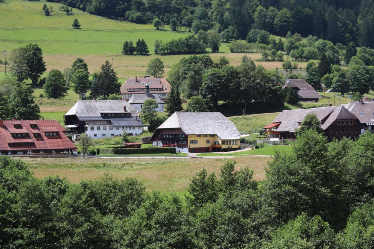 Schwarzwaldhaus Kathi Daire Todtmoos Dış mekan fotoğraf