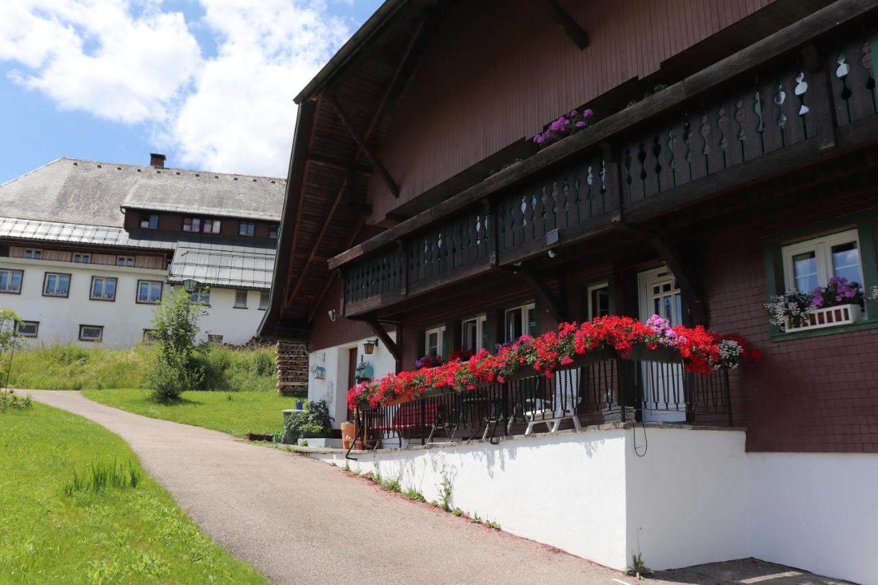 Schwarzwaldhaus Kathi Daire Todtmoos Dış mekan fotoğraf