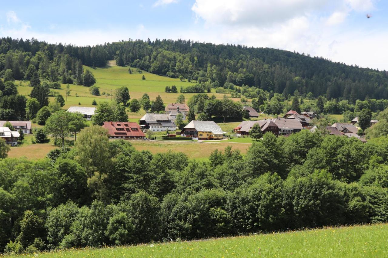Schwarzwaldhaus Kathi Daire Todtmoos Dış mekan fotoğraf