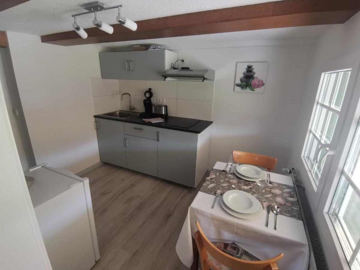 Schwarzwaldhaus Kathi Daire Todtmoos Dış mekan fotoğraf