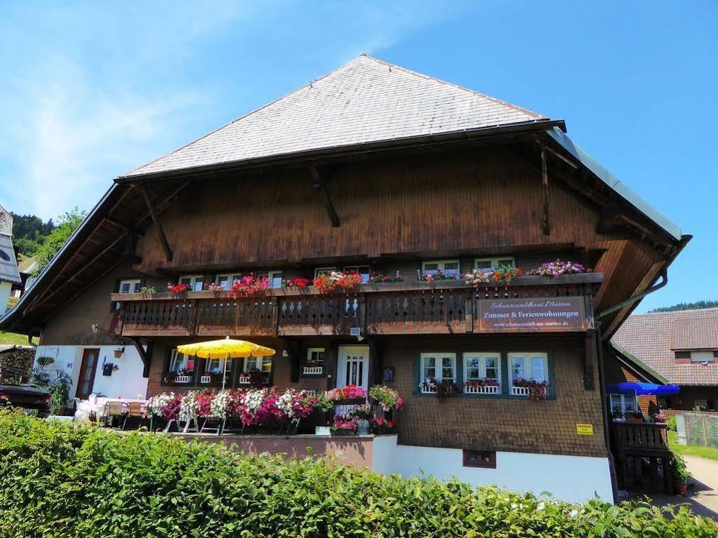Schwarzwaldhaus Kathi Daire Todtmoos Dış mekan fotoğraf