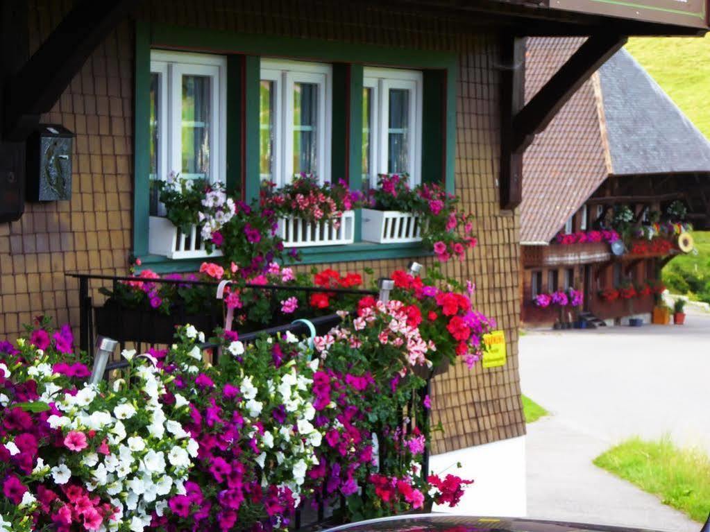 Schwarzwaldhaus Kathi Daire Todtmoos Dış mekan fotoğraf