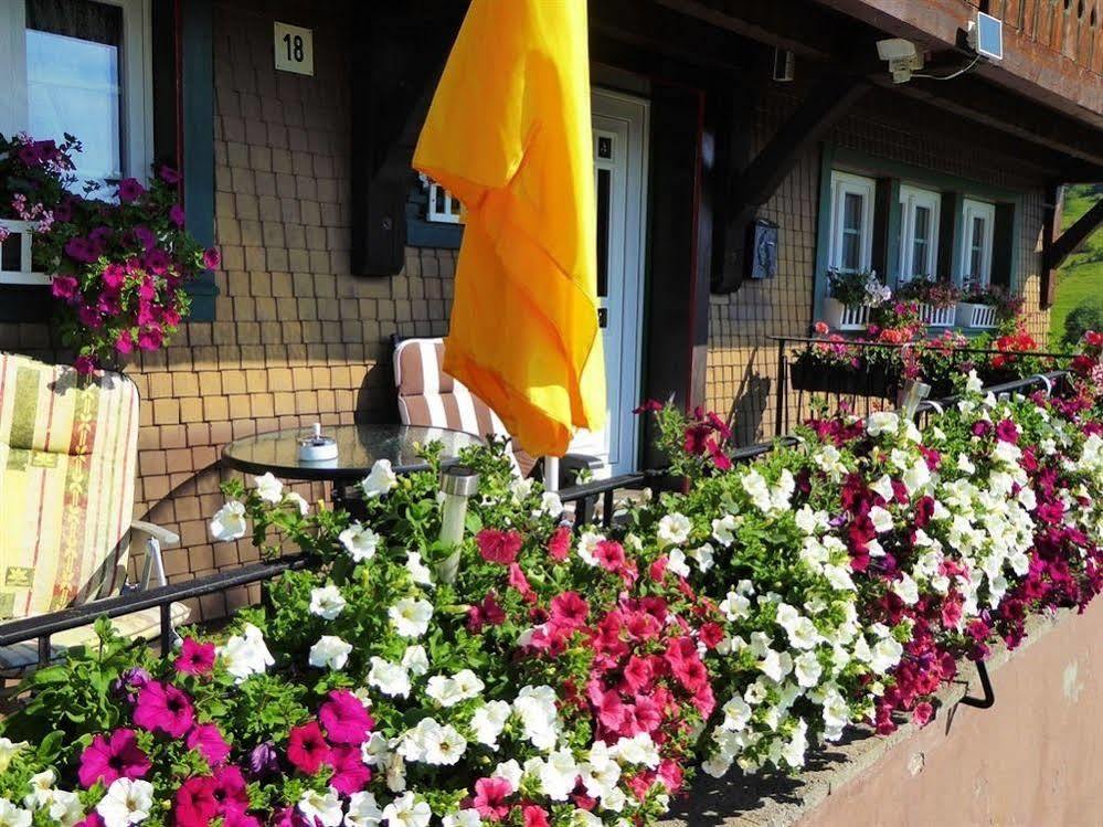 Schwarzwaldhaus Kathi Daire Todtmoos Dış mekan fotoğraf