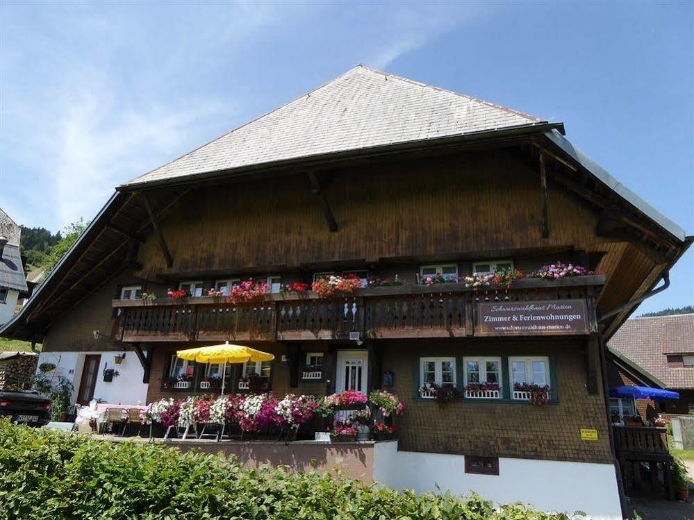 Schwarzwaldhaus Kathi Daire Todtmoos Dış mekan fotoğraf